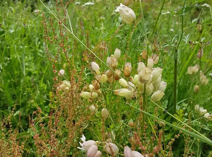 宾馆 Huebinger Treff Hubingen